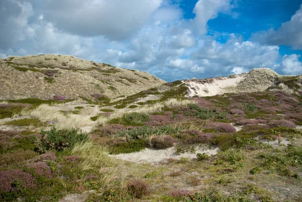 Vista Panoramica Delle Dune Focus Selettivo — Foto Stock