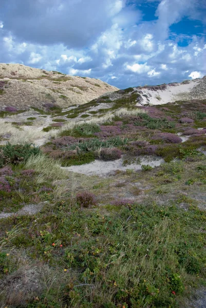 Kum Tepelerinin Manzarası Seçici Odak — Stok fotoğraf