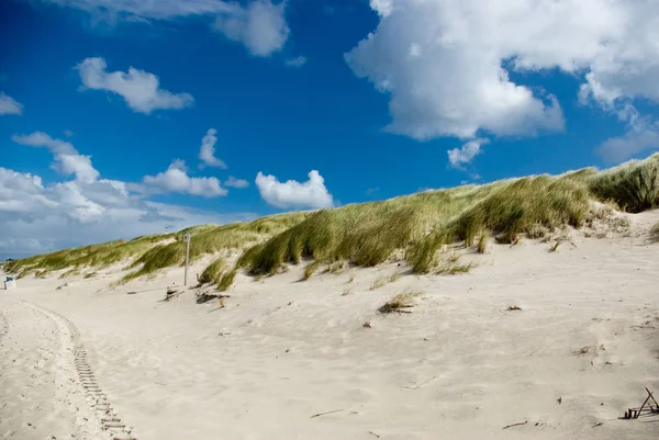 Scenic View Dunes Selective Focus — Stock Photo, Image