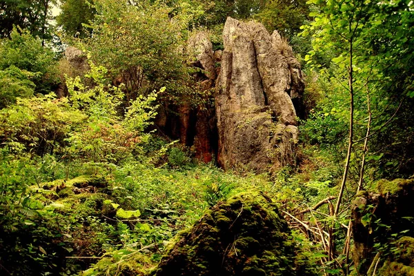 Prachtig Uitzicht Natuur — Stockfoto