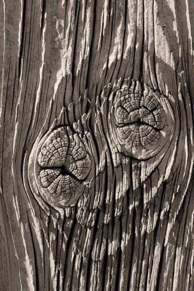 Alte Holzstruktur Mit Natürlichem Muster — Stockfoto