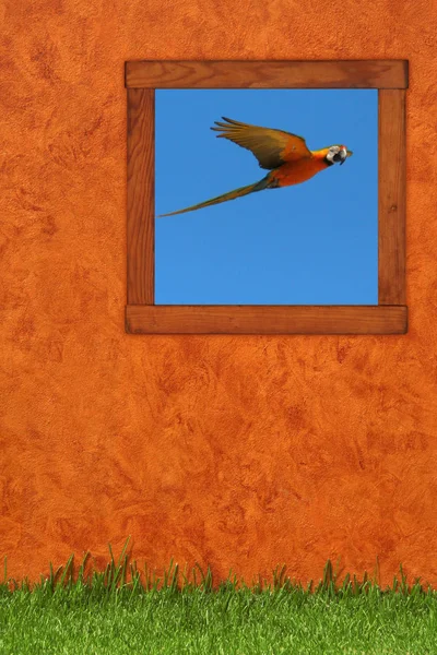 Ein Holzrahmen Mit Einem Bild Eines Vogels — Stockfoto