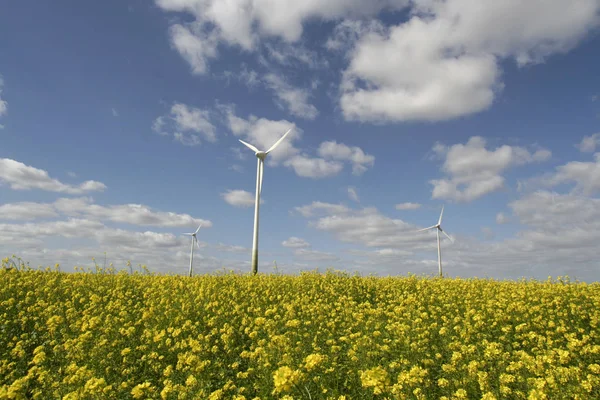 Wind Turbines Electricity Technology — Stock Photo, Image