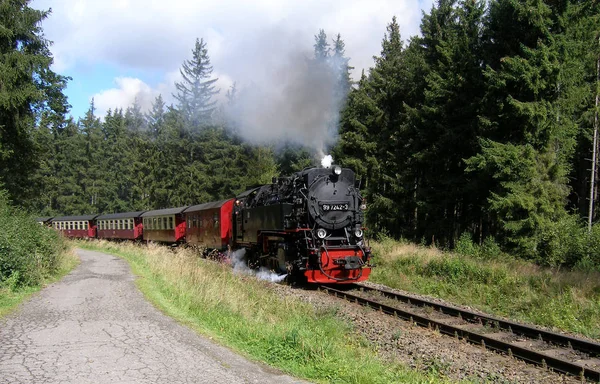 Rijden Door Het Bos Bij Sorge — Stockfoto