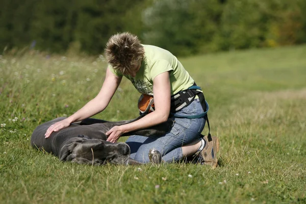 Jovem Mulher Com Cão Parque — Fotografia de Stock