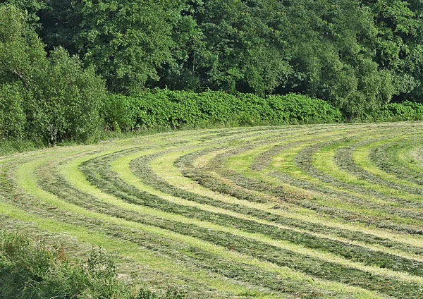 Festői Kilátás Természet Jelenet — Stock Fotó