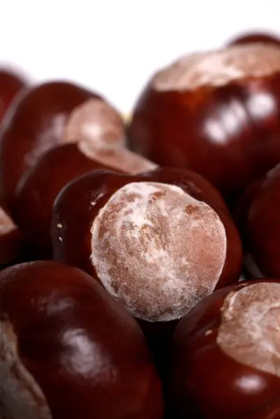 Close Chestnuts White Background — Stock Photo, Image