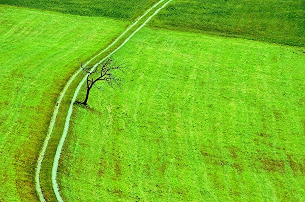 Vista Pittoresca Del Paesaggio Campagna — Foto Stock