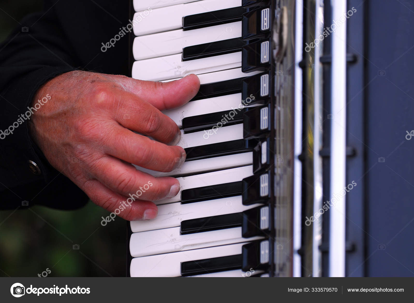 Harmonica Accordion Musical Instrument — Stock Photo © PantherMediaSeller 333579570