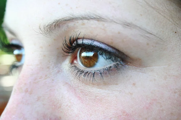 Portrait Beauty Young Woman — Stock Photo, Image