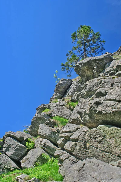 Rock Bavarian Forest — Stockfoto