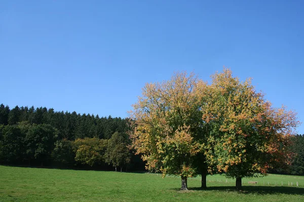 Malowniczy Widok Piękny Jesienny Krajobraz — Zdjęcie stockowe
