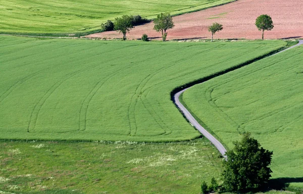 Vista Pitoresca Bela Paisagem Primavera — Fotografia de Stock