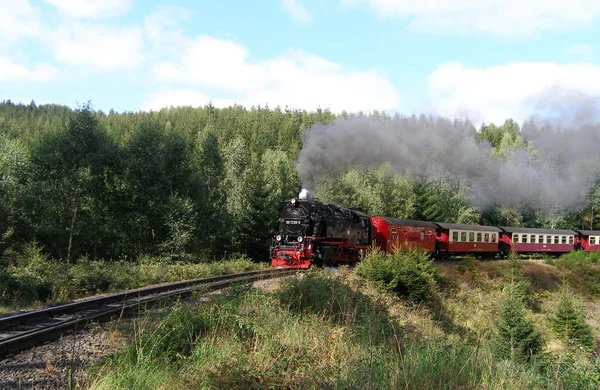 Smalspoorbaan Van Harz Gaat Bergop Bocht — Stockfoto