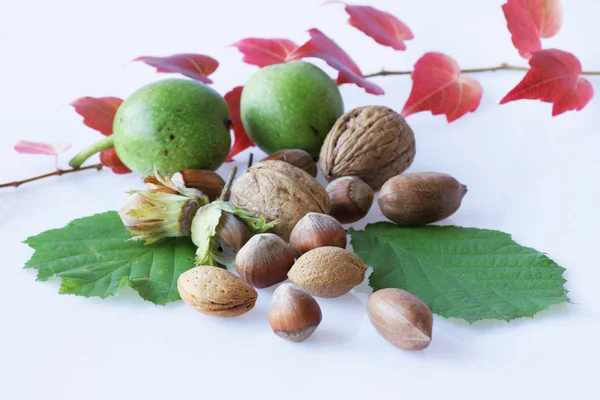 Primer Plano Naturaleza Muerta —  Fotos de Stock