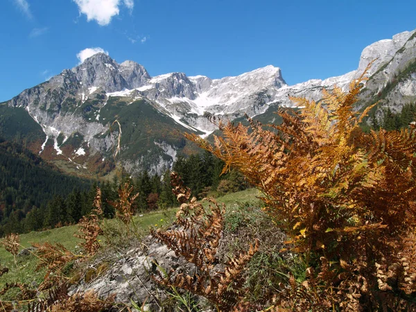 Paisagem Montanhosa Outono — Fotografia de Stock