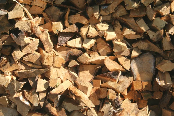 Brennholz Baumrinde — Stockfoto