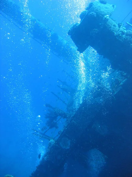 Szenischer Blick Auf Die Unterwasserwelt — Stockfoto