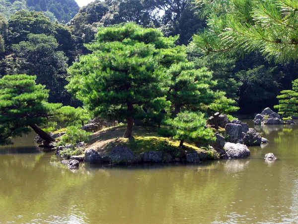 Japansk Trädgård Naturflora — Stockfoto