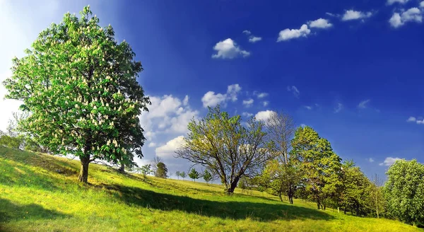 Bela Vista Natureza — Fotografia de Stock