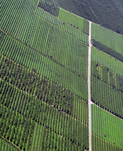 Campo Agricultura Campo Paisagem — Fotografia de Stock