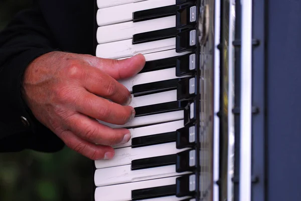 Ακορντεόν Harmonica Μουσικό Όργανο — Φωτογραφία Αρχείου