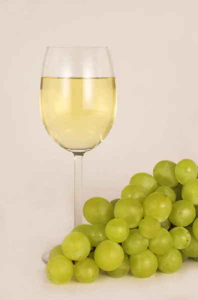 White Wine Grapes — Stock Photo, Image