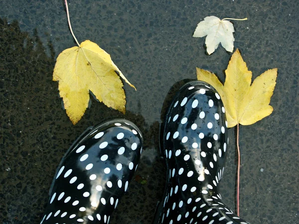 Обувь Непогоду — стоковое фото