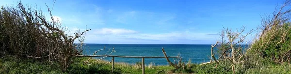 Vista Panorámica Las Dunas Enfoque Selectivo — Foto de Stock