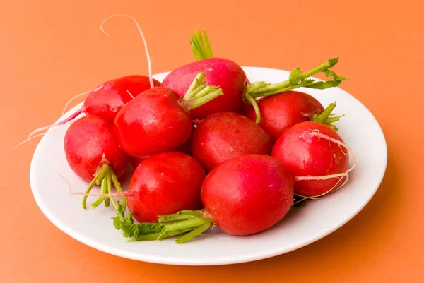 Primo Piano Del Cibo Attenzione Selettiva — Foto Stock