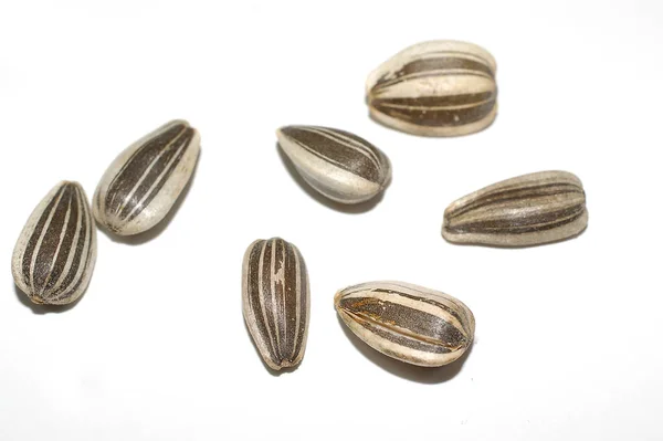 Close Sunflower Seeds — Stock Photo, Image