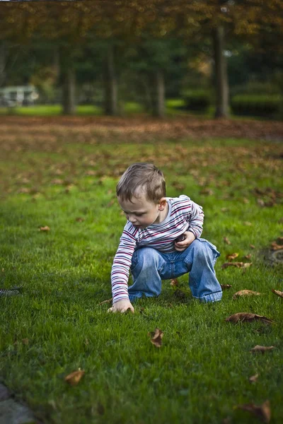 Scenic View Cute Toddler Child — Stock Photo, Image
