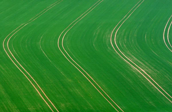 Vista Pittoresca Della Scena Della Natura — Foto Stock