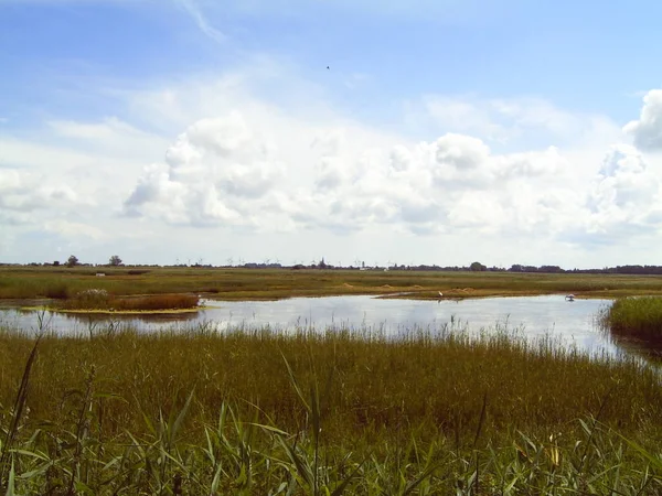 Erba Paesaggio Con Lago — Foto Stock