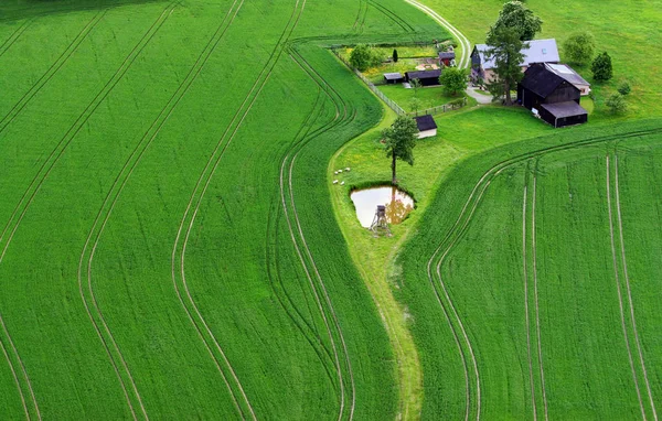 Vista Panorâmica Campo Foco Seletivo — Fotografia de Stock