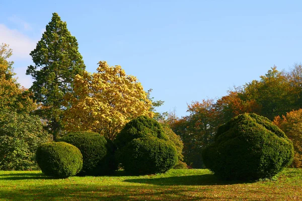 Atmosfera Autumnal Foco Seletivo — Fotografia de Stock