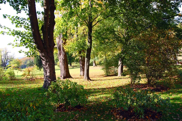 Höst Parken — Stockfoto