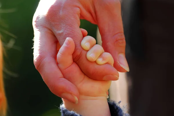 Scenic View Cute Toddler Child — Stock Photo, Image