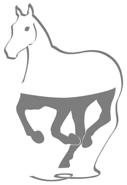 Silhouette Cavallo Isolato Sfondo Bianco — Foto Stock