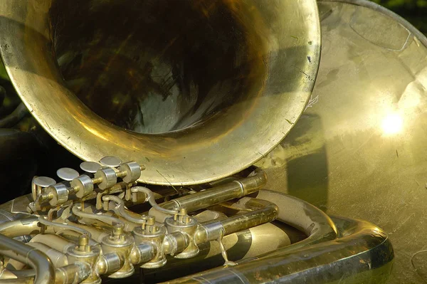 Close Trompete — Fotografia de Stock