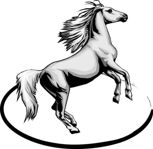 Horse Drawing Isolated White — Stock Photo, Image