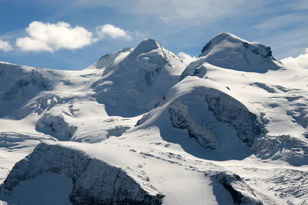 Ricinus Vervuiling Valais Alpen — Stockfoto