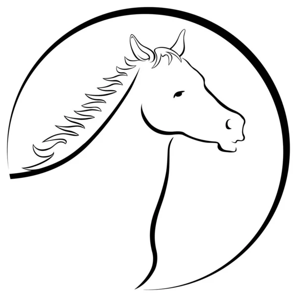 Dibujo Caballo Aislado Blanco — Foto de Stock