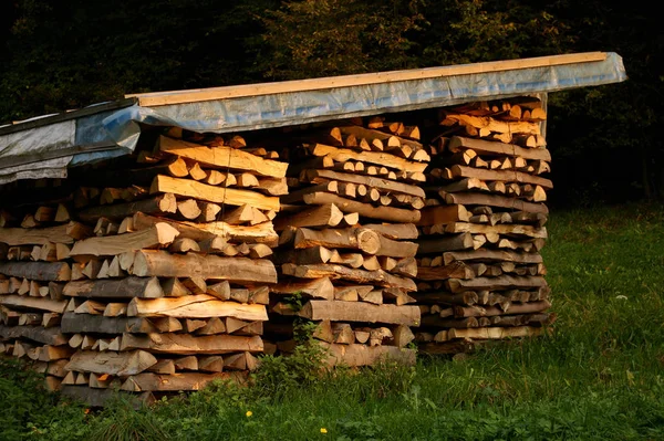 Skládané Dřevo Podpal Kmeny Stromů — Stock fotografie
