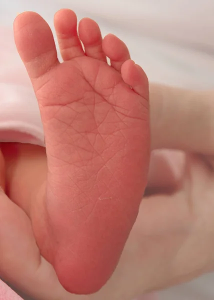 Nohy Novorozence — Stock fotografie