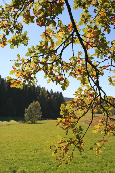 Vue Pittoresque Sur Magnifique Paysage Automne — Photo