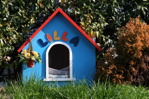 Ein Kleines Haus Mit Einer Blume Garten — Stockfoto