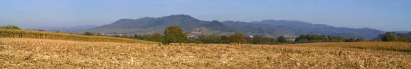 Herbstliche Atmosphäre Selektiver Fokus — Stockfoto