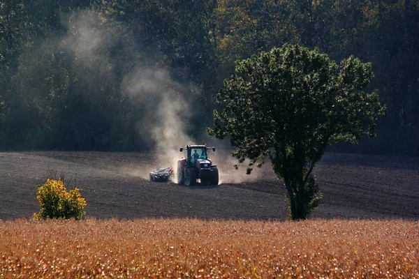 Herbsternte Selektiver Fokus — Stockfoto