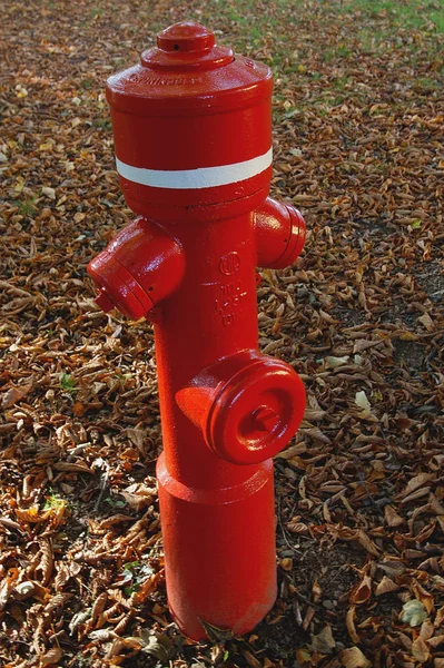 Podłączenie Wody Hydrantowej Straż Pożarna Czerwony — Zdjęcie stockowe